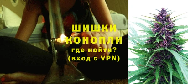 PSILOCYBIN Верея
