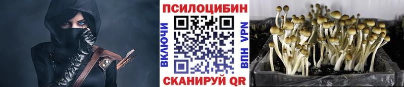 Псилоцибиновые грибы ЛСД  что такое наркотик  Звенигород 